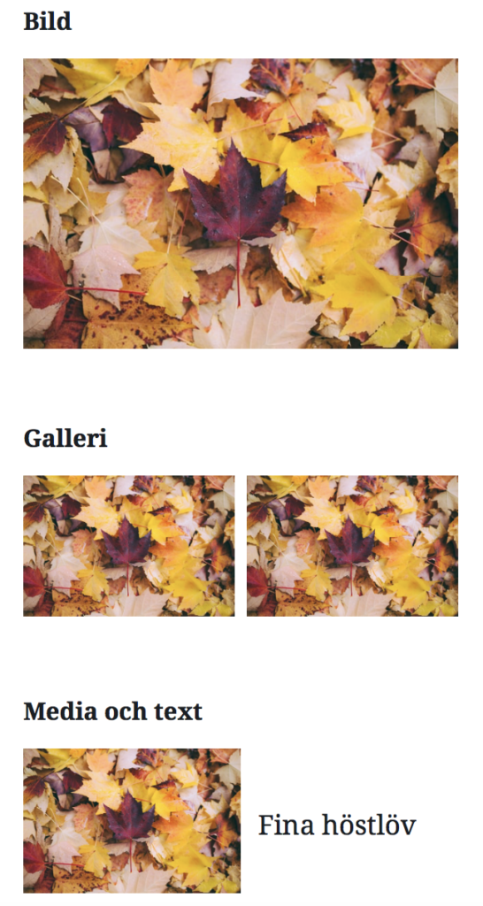 Förhandsvisning av hur olika bildblocken Bild, Galleri och "Media och text" ser ut i Gutenberg.