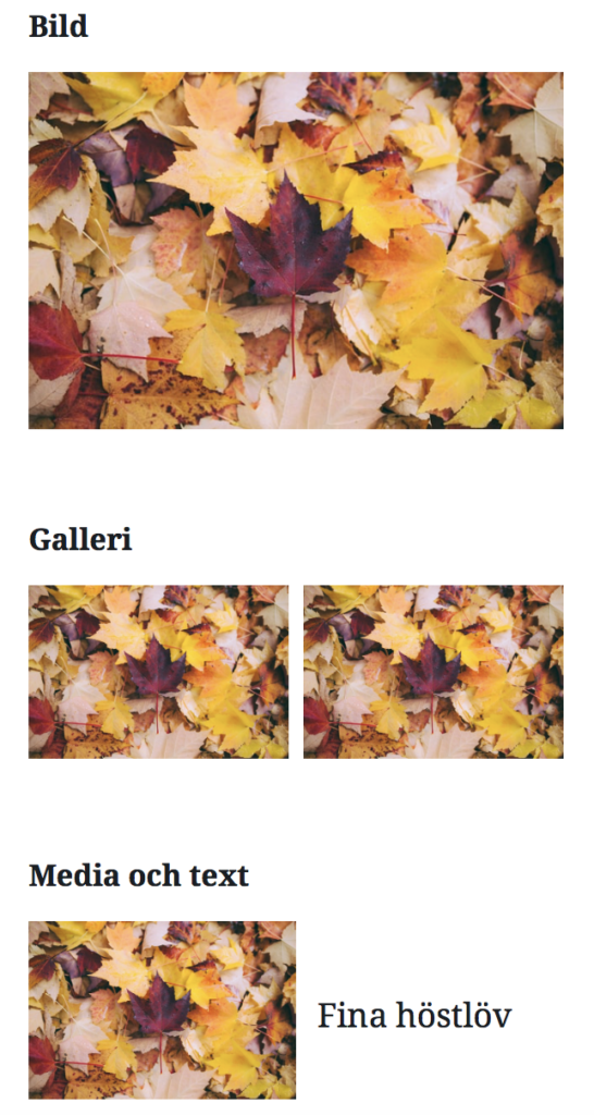 Förhandsvisning av hur olika bildblocken Bild, Galleri och "Media och text" ser ut i Gutenberg.
